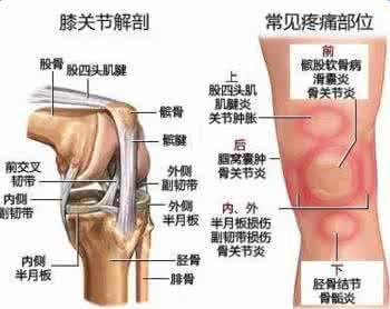 图片16.jpg